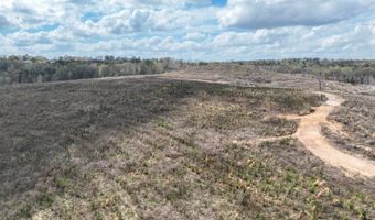 919 County Road 6628, Banks, AL 36005