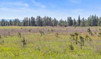 3 Ellington Ct, Athol, ID 83801