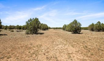 Arrow Wash Trail, Ash Fork, AZ 86320