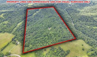 16749 Mush Run Rd, Athens, OH 45701