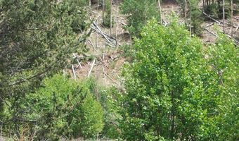 Lots 1-4 block 4, Bonanza, CO 81155