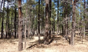 8 B County Road 2267 Escudilla Rd, Alpine, AZ 85920