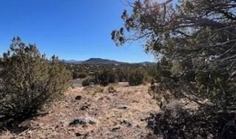 N8689 lot 002P, Concho, AZ 85924
