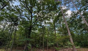 Old Moyers Road, Antlers, OK 74523
