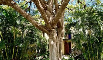 3600 WAILEA ALANUI Dr 1101, Kihei, HI 96753