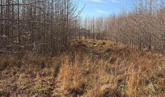 BLACK SWAMP ROAD, Felton, DE 19943