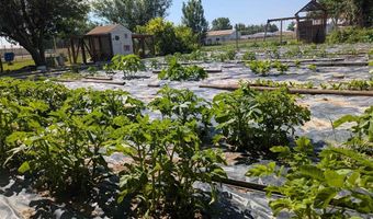 415 Holdrege Ave, Basin, WY 82410