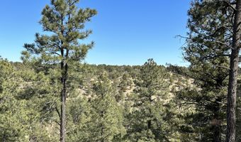 Lot 12 Golden Eagle Court, Alto, NM 88312