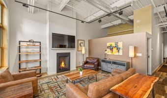 231 Robinson St 302, Basalt, CO 81621