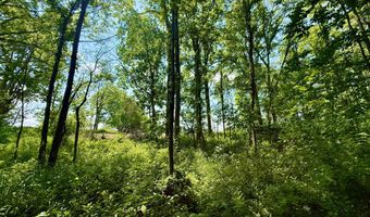 16130 Addison Rd, Addison, MI 49220