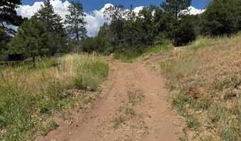 TBD-2 Vine Mesa Ave, Beulah, CO 81023