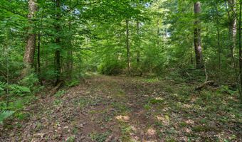 1125 39th St, Allegan, MI 49010