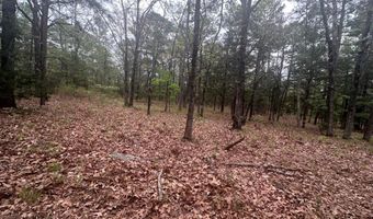 UNIT # 263B KIAMICHI WILDERNESS RD Unit # 63 63, Antlers, OK 74523