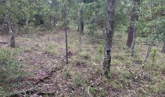 Abraham Street, Alford, FL 32420