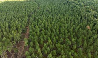 0 Pisgah Rd 4, Brandon, MS 39047