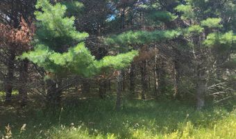 Lot 114 County Road Z, Arkdale, WI 54613