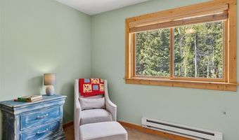 366 Quartzville Rd, Alma, CO 80420