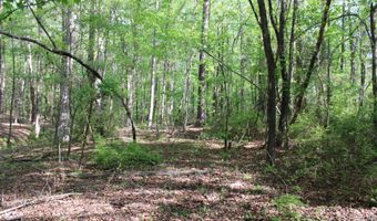 Ruffner Road 00, Barnesville, GA 30204