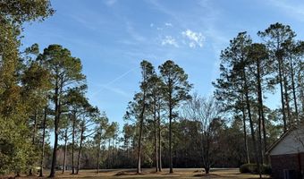 5686 Golden Isle W, Baxley, GA 31513