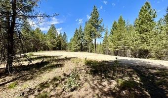 Sky Horse Drive lot 48, Cascade, ID 83611