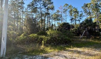 2313 Truman Ave, Alva, FL 33920