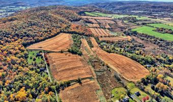 31 Yellow City Rd, Amenia, NY 12501