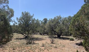 249 W Kings Ranch Rd, Ash Fork, AZ 86320