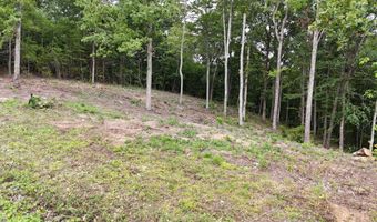 Bayside Boulevard lot 44, Bean Station, TN 37708