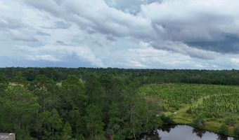 1025 Old Dairy, Ailey, GA 30410