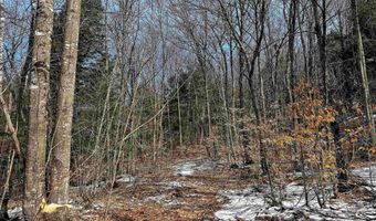 441 Tower Rd, Barnet, VT 05821