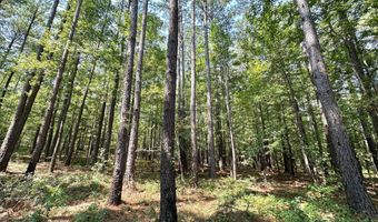 1 Champion Hill Rd, Bolton, MS 39041