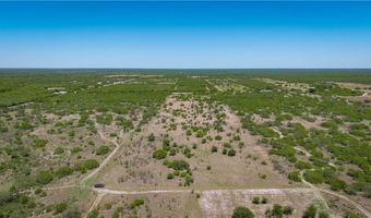Fm-735, Alice, TX 78332