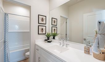624 N VINE St, Chandler, AZ 85225
