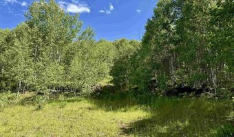 CR 501, Bayfield, CO 81122