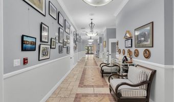 335 SENECA FALLS Dr, Apollo Beach, FL 33572