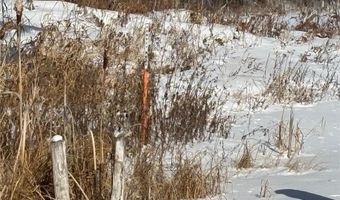 13102 Seaberg Ln, Bagley, MN 56621