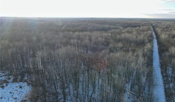 Tbd 359TH LN, Aitkin, MN 56431