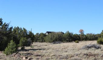 6 County Road 8052, Concho, AZ 85924