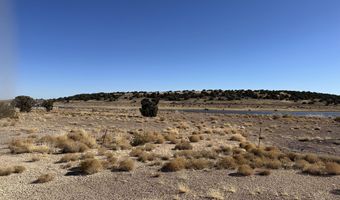 9 County Road 5700, Concho, AZ 85924