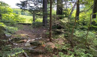 41 Rice Hill Rd, Dover, VT 05341
