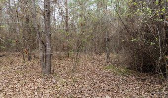 Tbd Pump Station Rd, Ashdown, AR 71822