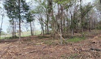 301 E 2nd St, Annapolis, MO 63620
