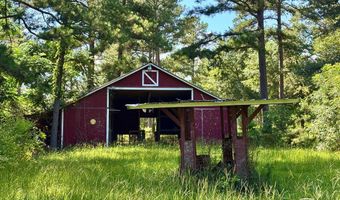 475 Co Rd 411, Abbeville, AL 36854