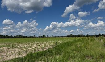 0 Melton Chapel Rd, Baxley, GA 31513
