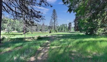 1801 Pine Dr, Arnold, CA 95223