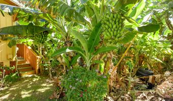 679 Kaapuni Pl, Kihei, HI 96753