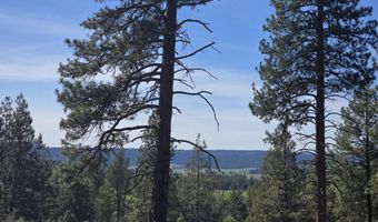 Widgeon Drive 39, Bonanza, OR 97623