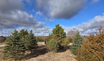 12 A68 Washington Dr, Apple River, IL 61001