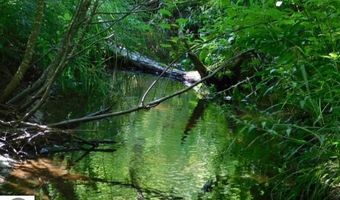 2711 Hatley Rd, Fife Lake, MI 49633