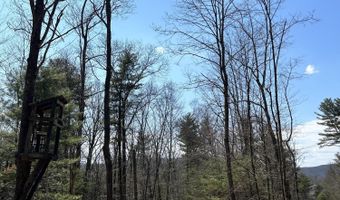 TALLMAN HOLLOW ROAD LOT #5, Montoursville, PA 17754